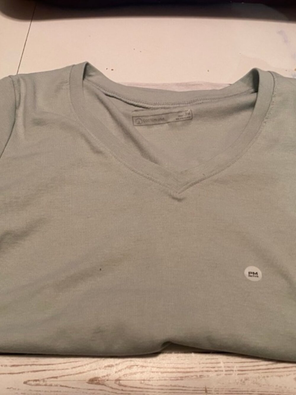 Eddie Bauer Women's Favorite V-Neck Tee - Celadon Sage - Petite M